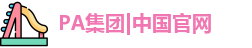 PA集团